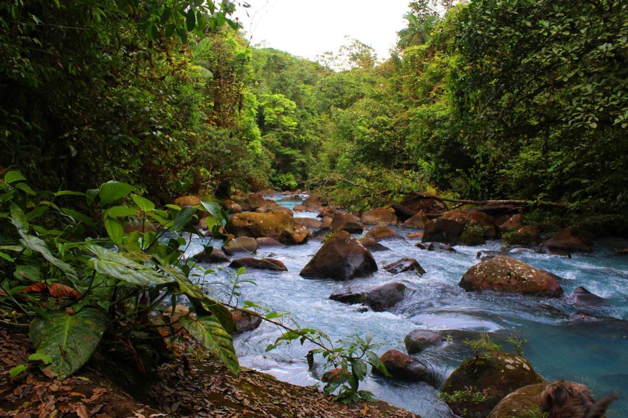 Rio Celeste Nature View Upala Eksteriør billede